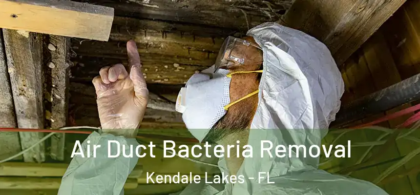  Air Duct Bacteria Removal Kendale Lakes - FL