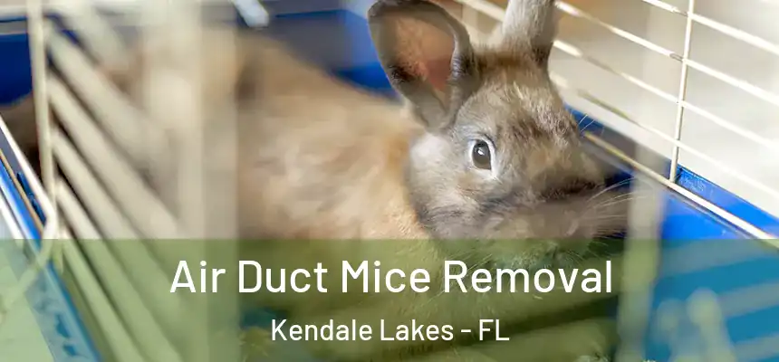  Air Duct Mice Removal Kendale Lakes - FL