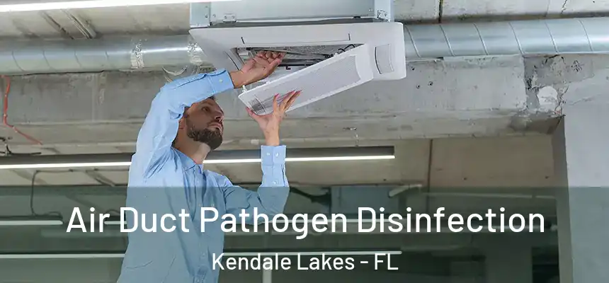  Air Duct Pathogen Disinfection Kendale Lakes - FL