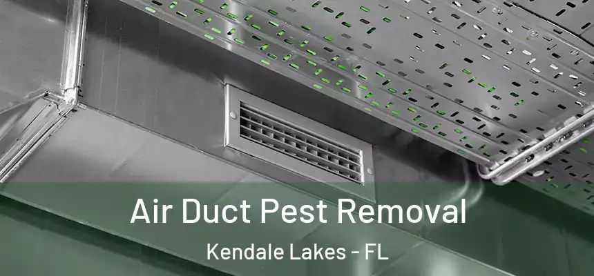  Air Duct Pest Removal Kendale Lakes - FL