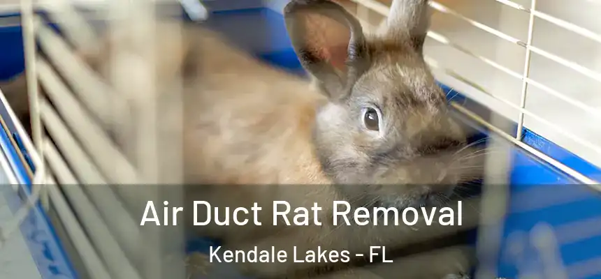  Air Duct Rat Removal Kendale Lakes - FL