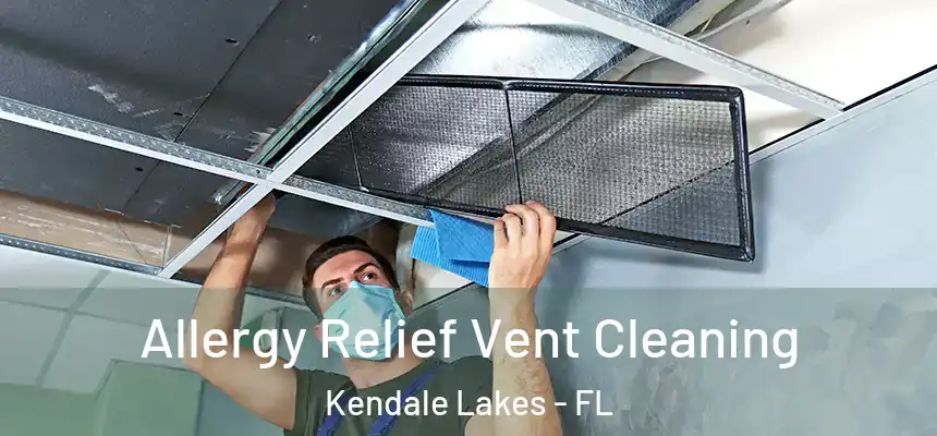 Allergy Relief Vent Cleaning Kendale Lakes - FL