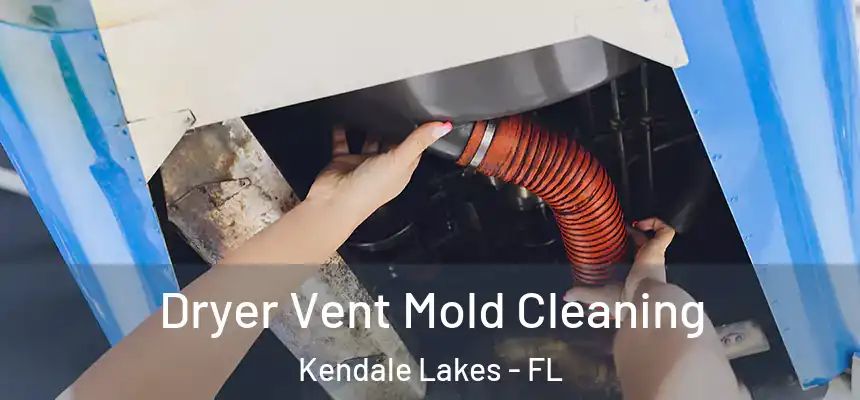 Dryer Vent Mold Cleaning Kendale Lakes - FL