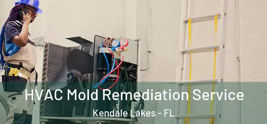 HVAC Mold Remediation Service Kendale Lakes - FL
