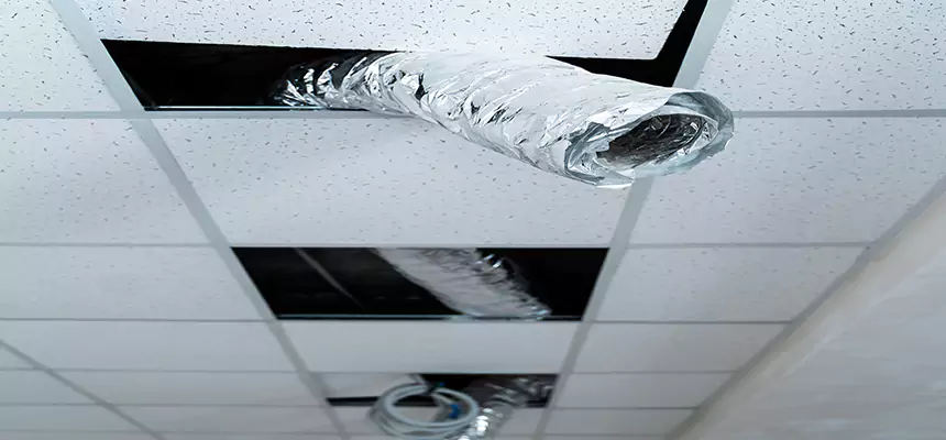 Affordable HVAC Sanitizing After Pest Removal in Kendale Lakes