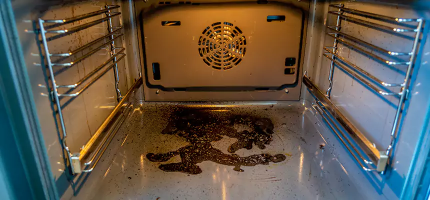 Our Dryer Vent Mold Cleaning Services in Kendale Lakes, FL