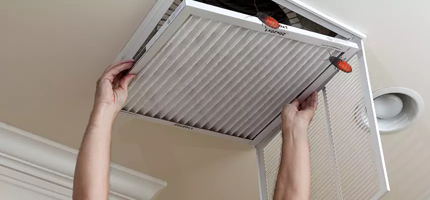 Our Insect Removal from Air Ducts Services in Kendale Lakes, FL