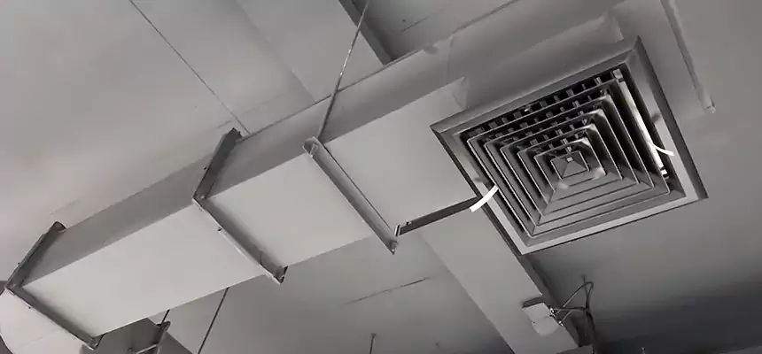 Our Pest Removal From Ducts Services in Kendale Lakes, FL