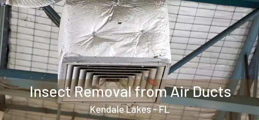 Insect Removal from Air Ducts Kendale Lakes - FL
