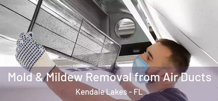  Mold & Mildew Removal from Air Ducts Kendale Lakes - FL