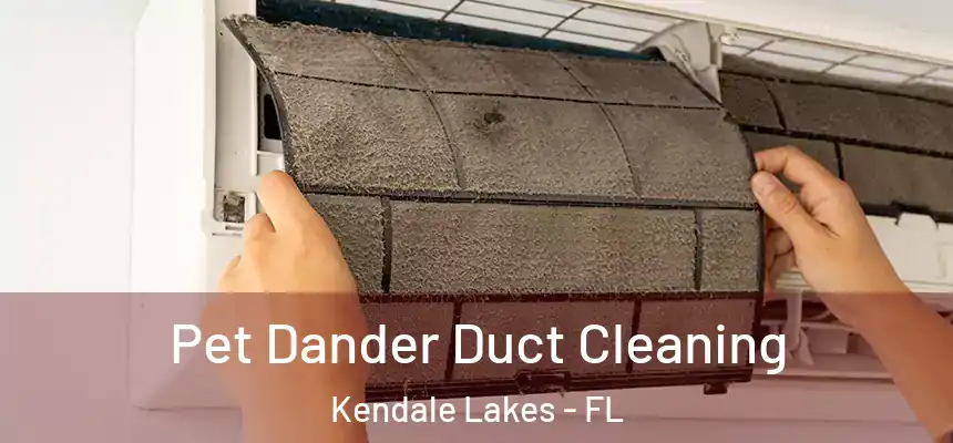  Pet Dander Duct Cleaning Kendale Lakes - FL