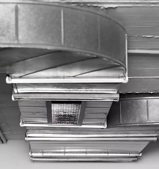 Professional Air Duct Pet Hair Removal in Kendale Lakes, FL