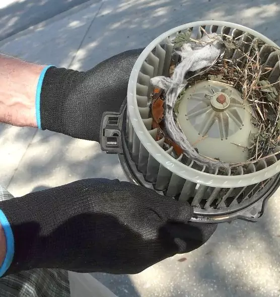 About Air Duct Rat Removal in Kendale Lakes, FL