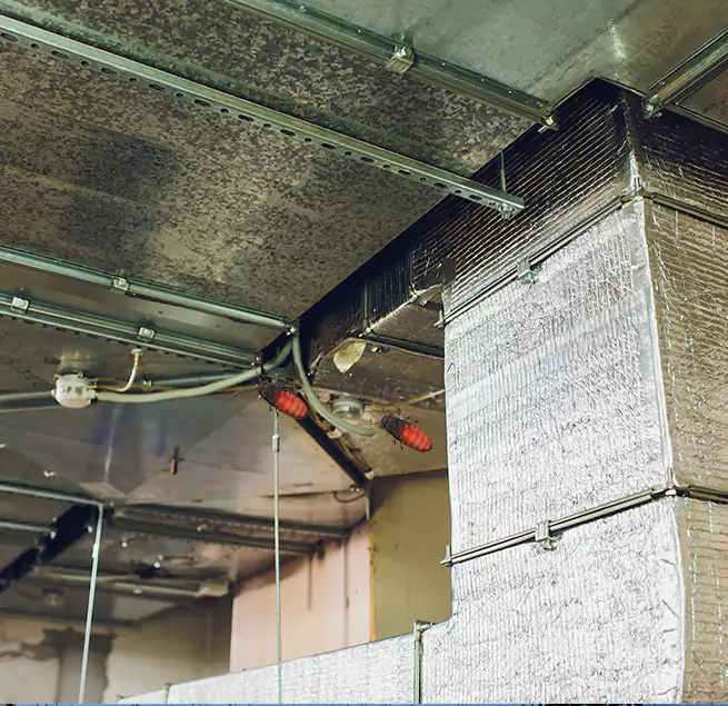 Why Homeowners & Businesses Trust Us in Kendale Lakes, FL?