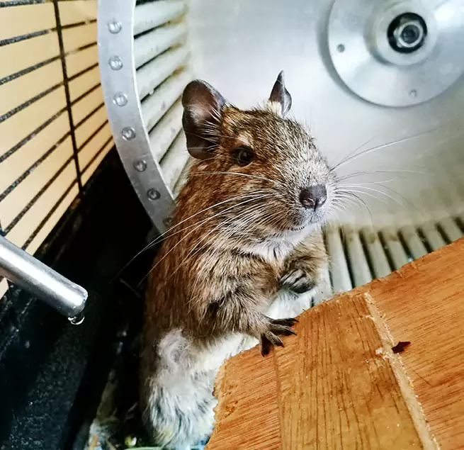 Why Homeowners & Businesses Trust Us Kendale Lakes, FL