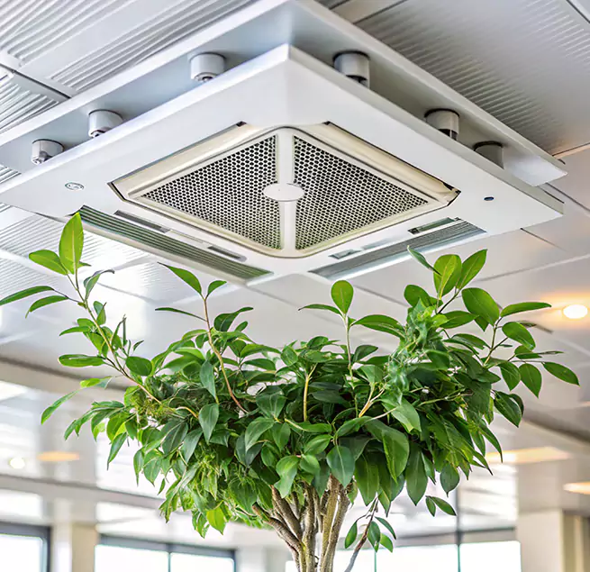 Why Homeowners & Businesses Trust Us in Kendale Lakes, FL?