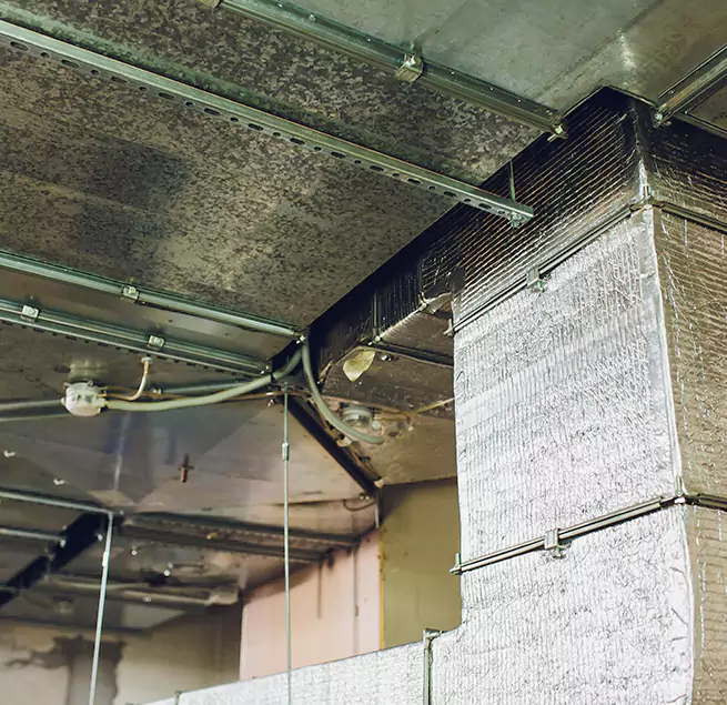 Why Homeowners & Businesses Trust Us in Kendale Lakes, FL?